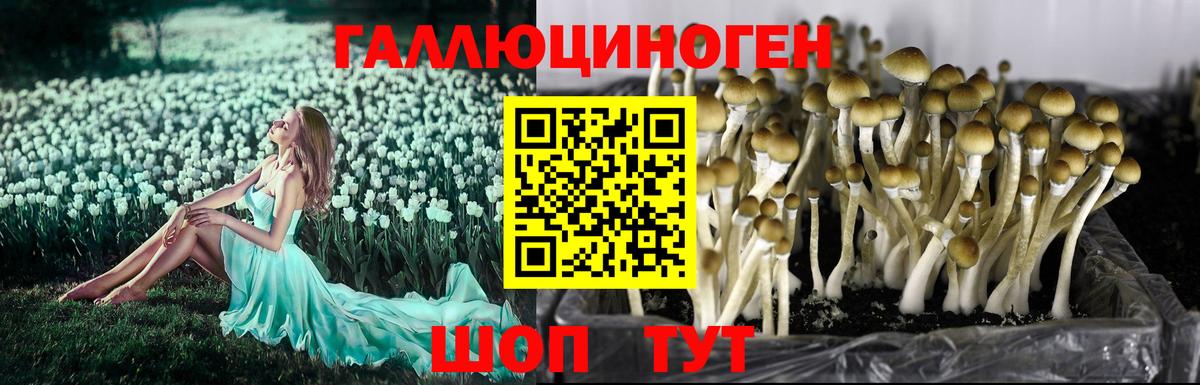 Галлюциногенные грибы мухоморы  Псилоцибиновые грибы Magic Shrooms  Вход с VPN  Чусовой 