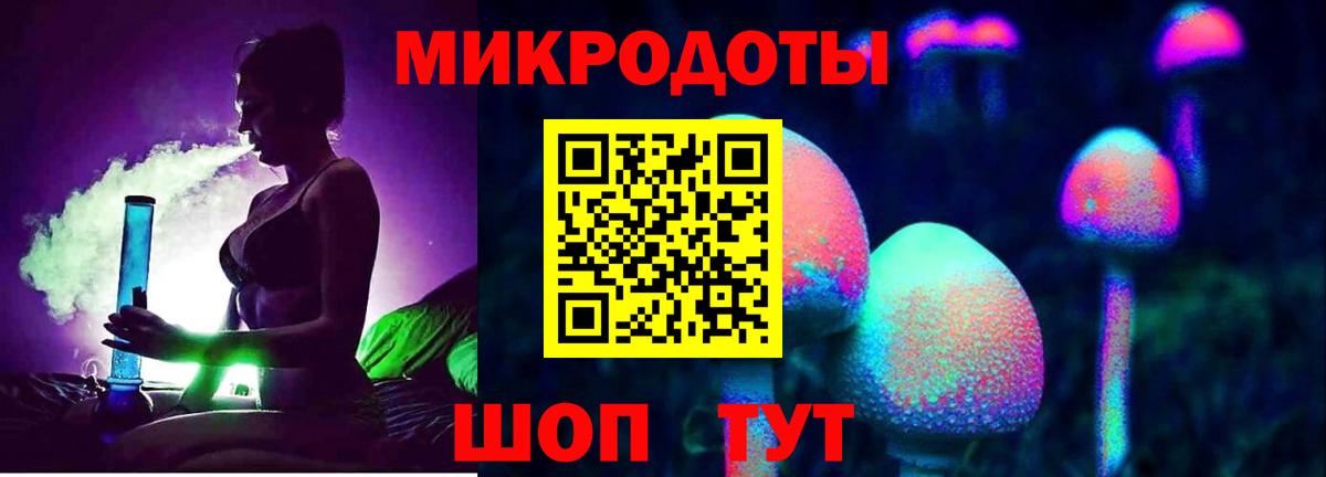 Галлюциногенные грибы Psilocybine cubensis Чусовой
